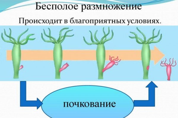 Kraken зеркало рабочее